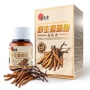 Wild Cordyceps Plus – tibetische Wild Cordyceps & 5 Cultivierte Cordyceps für Immun-, Energie- und Lungunterstützung – 60 Kapseln