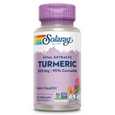 SOLARAY Turmeric Supplement 300 mg - Kurkuma-Extrakt mit 95% Curcumin - Gemeinsame Unterstützungsergänzung für gemeinsame Gesundheit und Komfort - Non-GMO, Vegan, Glutenfrei, 60-Tage Garantie, 60 Portionen