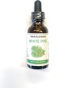 Quattro elementi 4E bianco Pine Tincture, 100% certificata erbe aromatiche fresche, 1 FL OZ