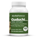 Herbsforever Guduchi Sat Kapseln Tinospora Cordifolia Unterstützung Verdauung Balancing Vata und Pitta 90 Vege Kapseln 800 Mg Jede