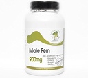Male Fern 900mg ~ 90 Kapseln - Keine Zusatzstoffe ~ Naturetition Supplements
