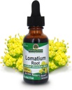Natur Antwort Lomatium Wurzelextrakt Lomatium Dissectum - Natürliche Kräuterergänzung - Gluten Alkoholfrei - Ideal für Immunität Gesamtgesundheit Wohlbefinden - 500mg (1 FL Oz)