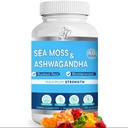 BIO VITALICA Sea Moss Ashwagandha Gummies - Organic Irish Seamoss & Ashwagandha Root Supplements zur Unterstützung von Energie und Immunität für Männer und Frauen, 60 Vegan Gummies