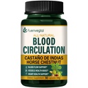 Horse Chestnut Blood Circulation Capsules, Castaño de Indias y Diosmina para la Circulacion, Nitric Oxide Supplement for Healthy Blood Flow, Blood Pressure. 90 Zähler