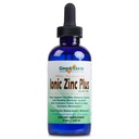 Good State Liquid Zinc Plus Ultra Concentrate Supplement 425, 4 fl oz, 1 Count