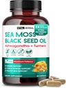 Sea Moss mit schwarzem Samenöl, Ashwagandha, Turmeric & Moringa – Immune, Joint & Skin Support Supplement – 60 Kapseln – Vital Herbal – Lab-Tested, Non-GMO, Made in USA