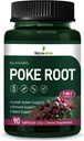 Poke Root Capsules Lymphe Drainage Supplements, Lymphsystem Unterstützung für Edema mit roten Wurzelextrakt, Dandelion für Immune Boost & Lymphe Detox Cleanse. Anzahl