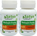 Shilajit Forte Kapseln 500 mg. 60 Veg. Kapsel | Shilajit (Asphaltum) Extrakt Kapseln für Männer und Frauen | Ayurvedische Kräuterergänzung / Heilmittel | 10:1 Forte (2 Flaschen von 60 Kapseln)