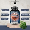 APOLLO'S HEGEMONY Alpha-GPC 600mg pro Tagesdose - 90 Vegan Choline Kapseln - 99% Choline Alfoscerate Nahrungsergänzung - Lipid Choline - Speicher- und Konzentrationskapseln