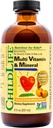 CHILDLIFE ESSENTIALS Kids Multivitamin & Mineral - Kinder Vitamine, flüssiges Multivitamin für Kinder, Kleinkind Multivitamine, flüssige Vitamine, Baby Multivitamin - Natürliche Orange & Mango, 8 Fl Oz (Pack mit 1)