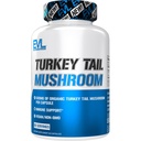 Evlution Nutrition Turkey Tail Mushroom - 500mg Organic Turkey Tail Mushroom per Capsule - Immununterstützung - Nahrungsergänzung - Vegan & Non-GMO - 60 Servietten - 60 Kapseln