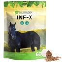 Silber Futter Kräuter Equine INF-X - Unterstützt Pferde Stress Relief und gesunde Niveaus der guten Bakterien - Natürliche Unterstützung für Equine Immunsystem - Kräuterergänzung für Equine Detoxification - 1 lb