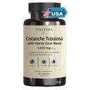 VINATURA Cistanche mit Horny Goat Weed 60% Icariin - 1250mg pro Servieren, Cistanche Tubulosa, Cistanche Supplement Men, Energy, Strength Cognitive *USA Made and Tested* - 60 Kapseln 30 Servietten